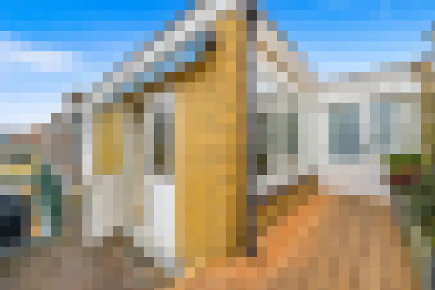 Johannes Camphuijsstraat 179 Den Haag thumbnail 35