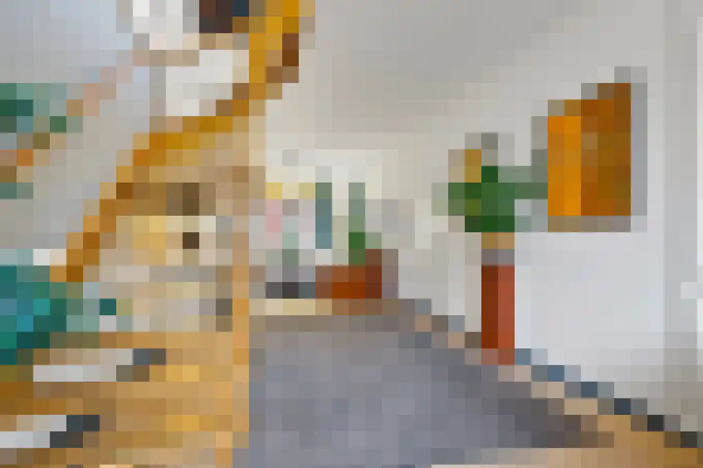 Johannes Camphuijsstraat 179 Den Haag thumbnail 5