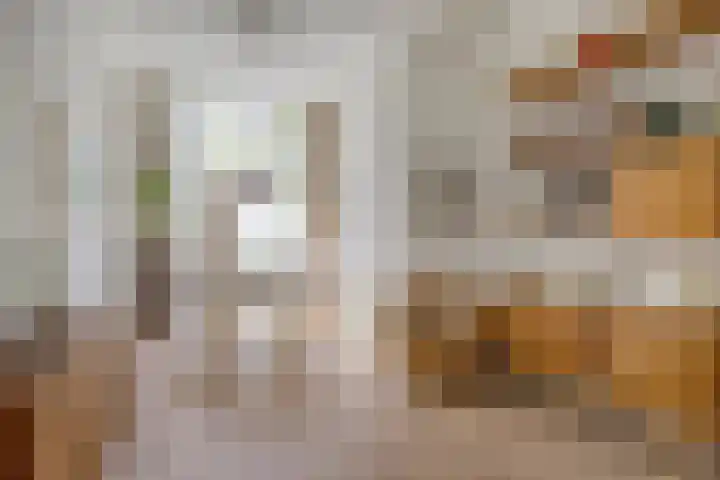 Johannes Camphuijsstraat 203 Den Haag thumbnail 21