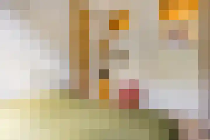 Johannes Camphuijsstraat 203 Den Haag thumbnail 33