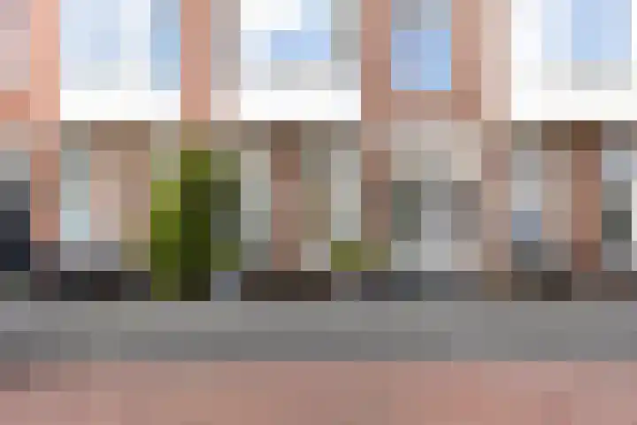 Johannes Camphuijsstraat 203 Den Haag thumbnail 49