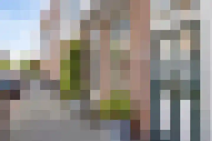 Johannes Camphuijsstraat 203 Den Haag thumbnail 9