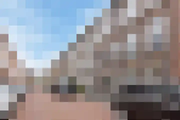 Johannes Camphuijsstraat 204 Den Haag thumbnail 32