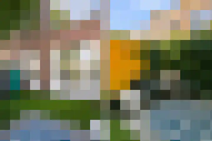 Johannes Camphuijsstraat 206 Den Haag thumbnail 16