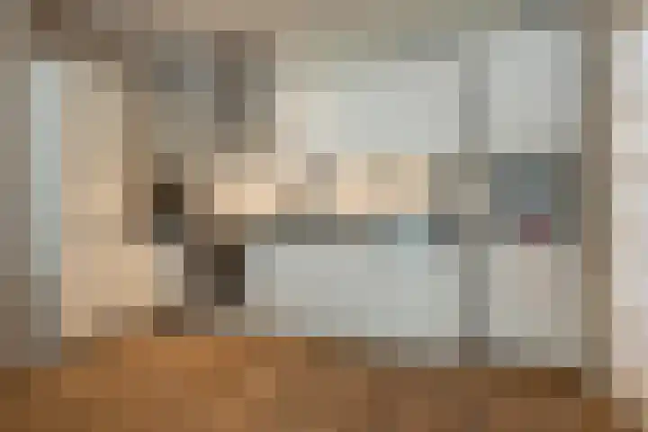 Johannes Camphuijsstraat 215 Den Haag thumbnail 8