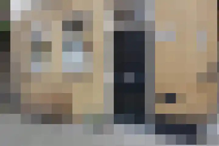 Johannes Camphuijsstraat 225 Den Haag thumbnail 45