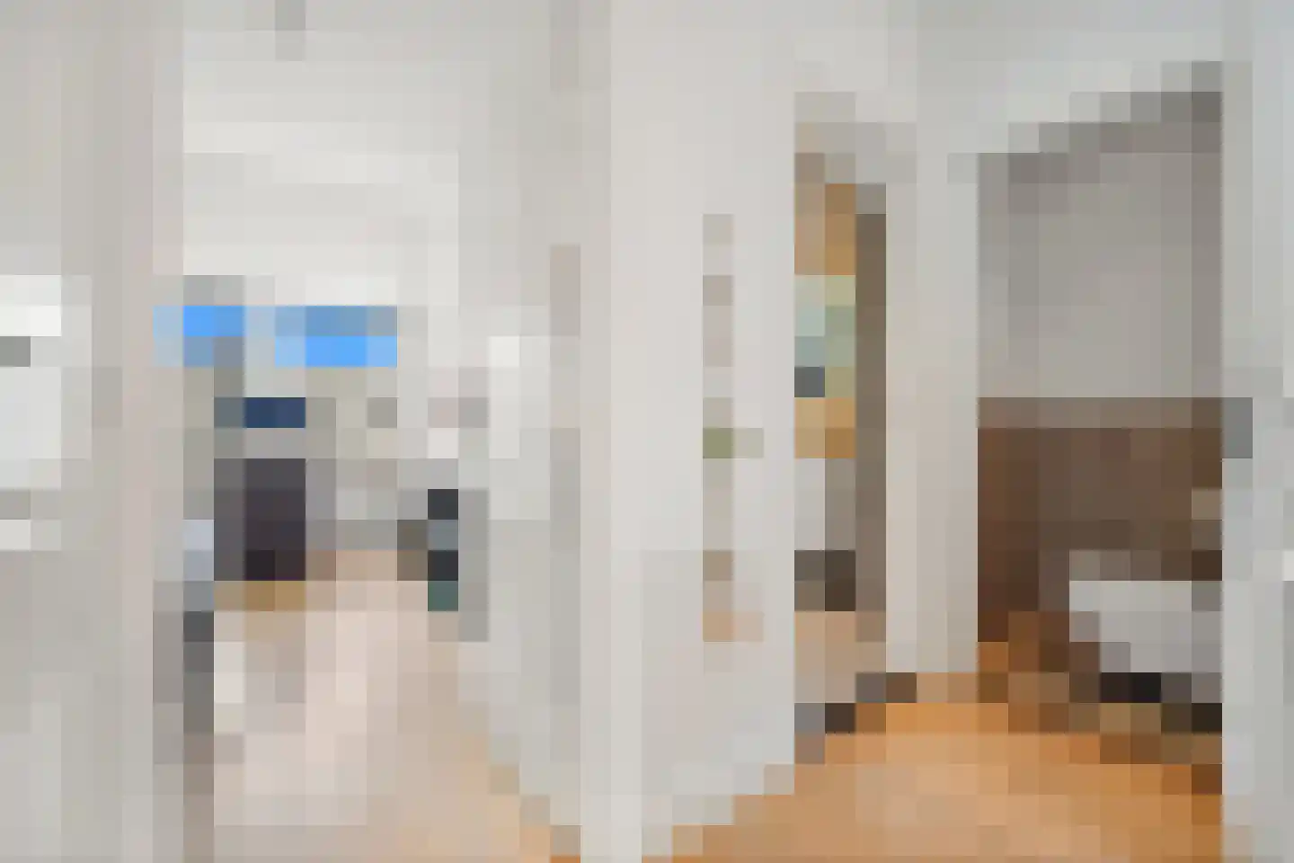 Johannes Camphuijsstraat 252 B Den Haag thumbnail 22