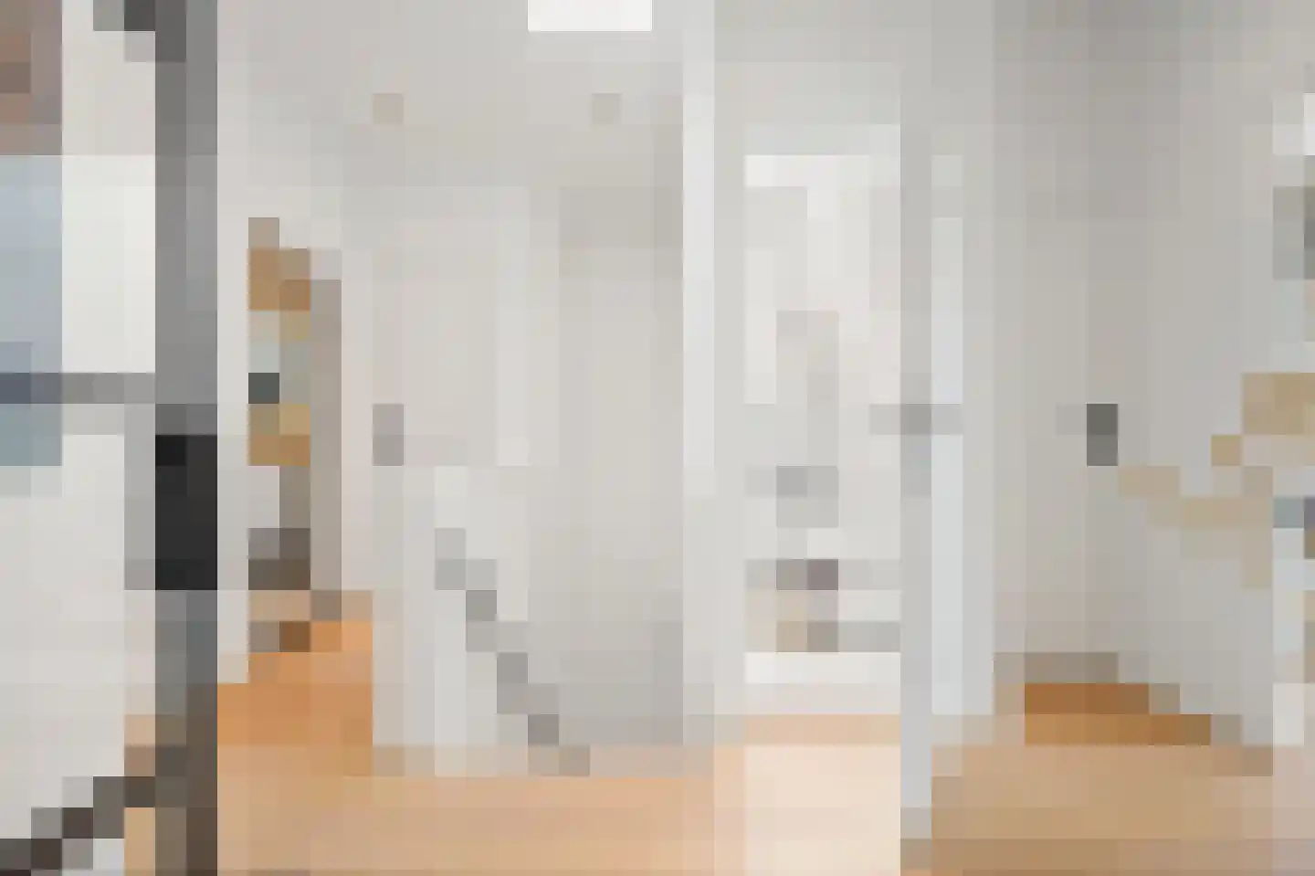 Johannes Camphuijsstraat 252 B Den Haag thumbnail 35