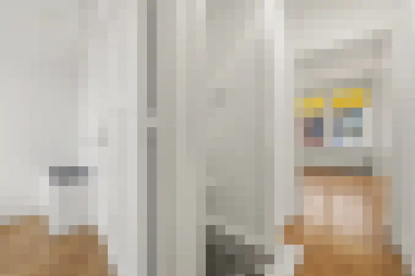 Johannes Camphuijsstraat 257 Den Haag thumbnail 18