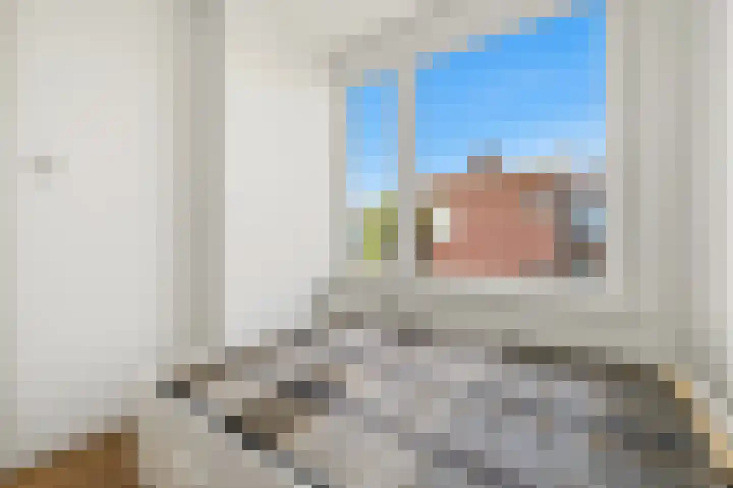 Johannes Camphuijsstraat 257 Den Haag thumbnail 21