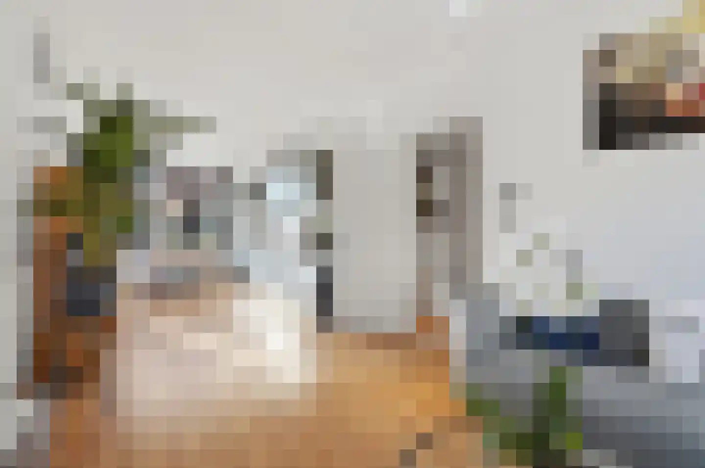 Johannes Camphuijsstraat 259 Den Haag thumbnail 10