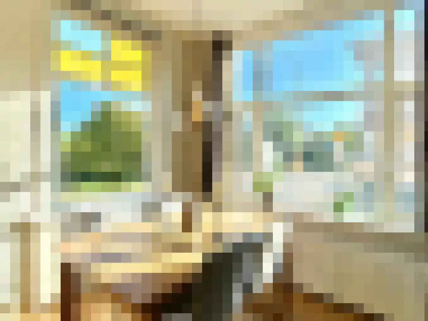 Johannes Camphuijsstraat 259 Den Haag thumbnail 4