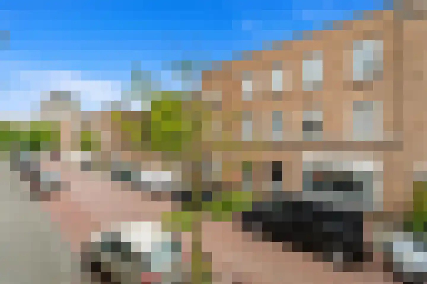 Johannes Camphuijsstraat 290 Den Haag thumbnail 14