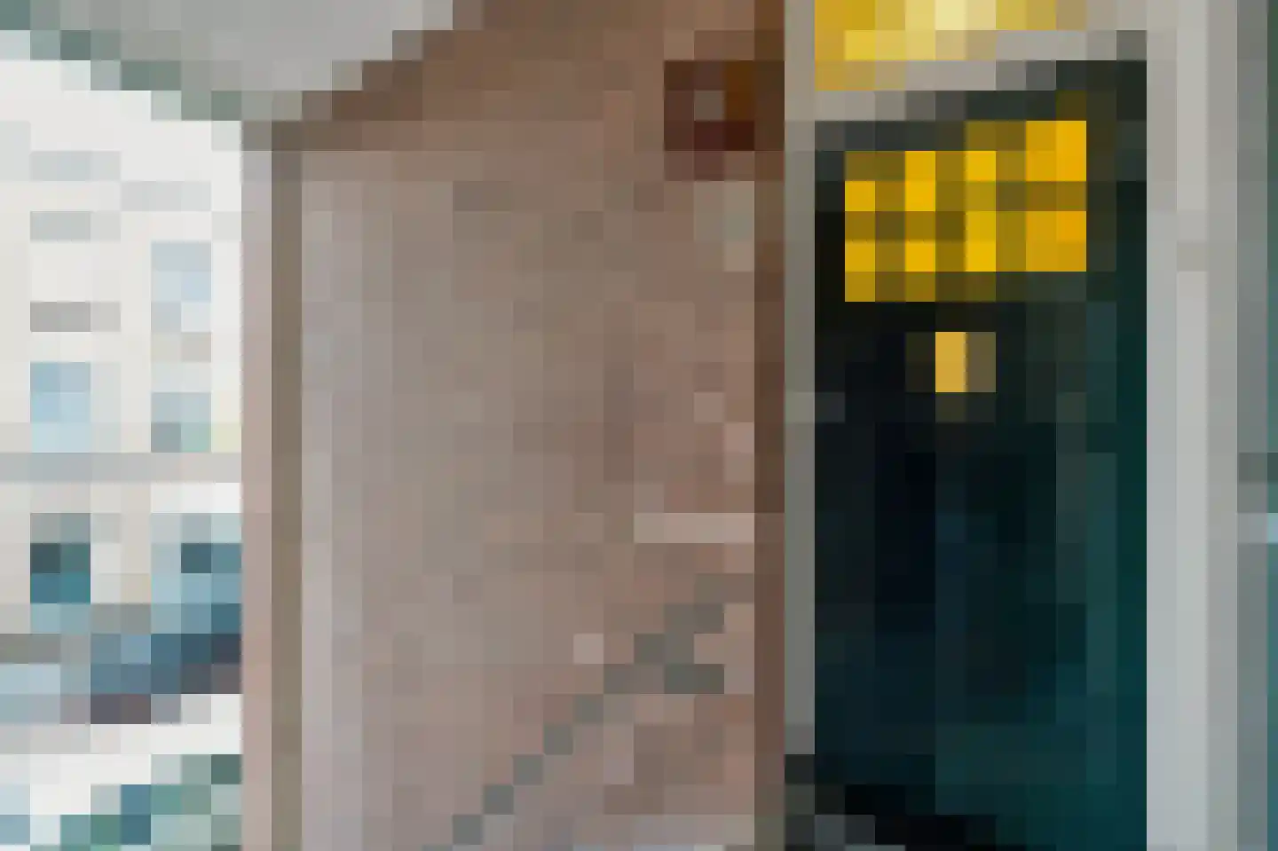 Johannes Camphuijsstraat 290 Den Haag thumbnail 6
