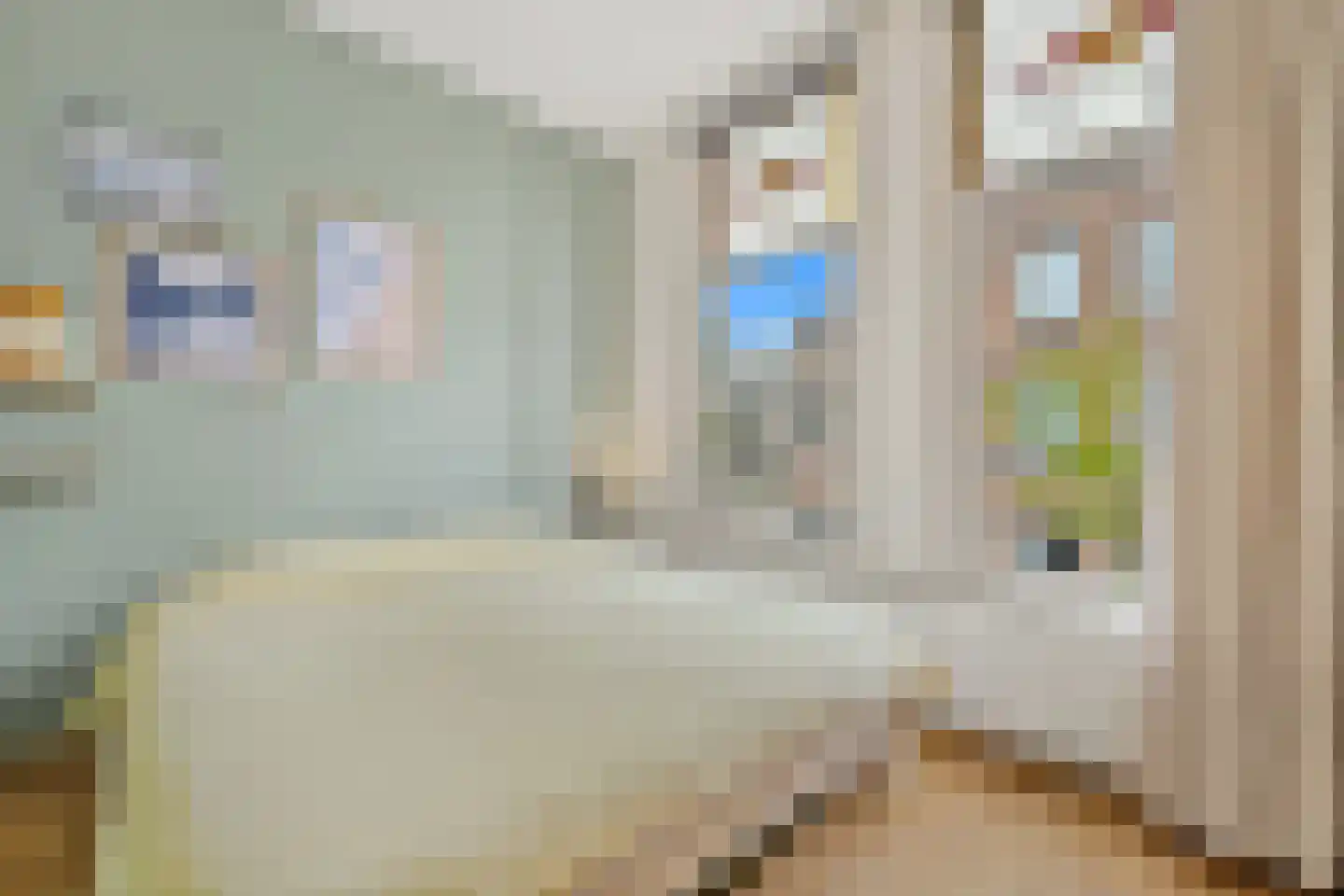 Johannes Camphuijsstraat 290 Den Haag thumbnail 9
