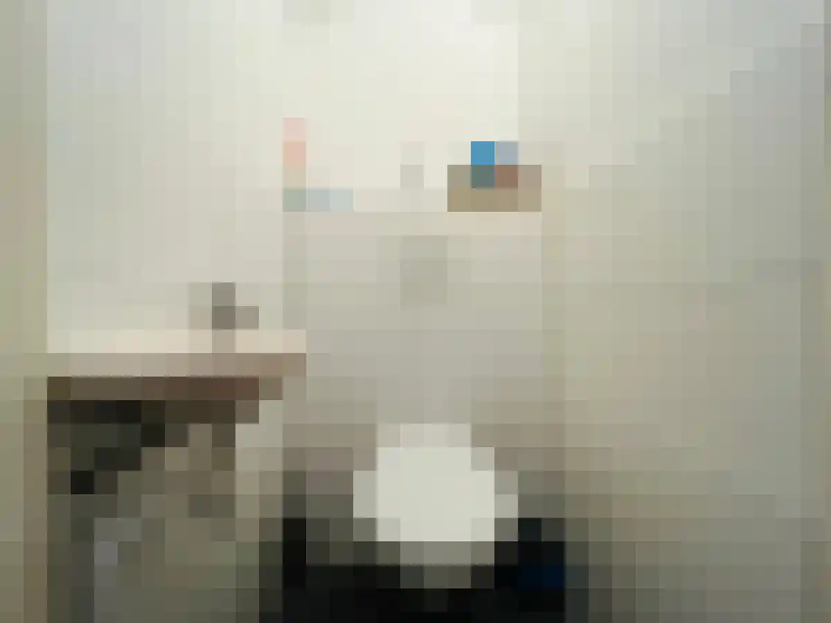 Johannes Camphuijsstraat 3 Den Haag thumbnail 5