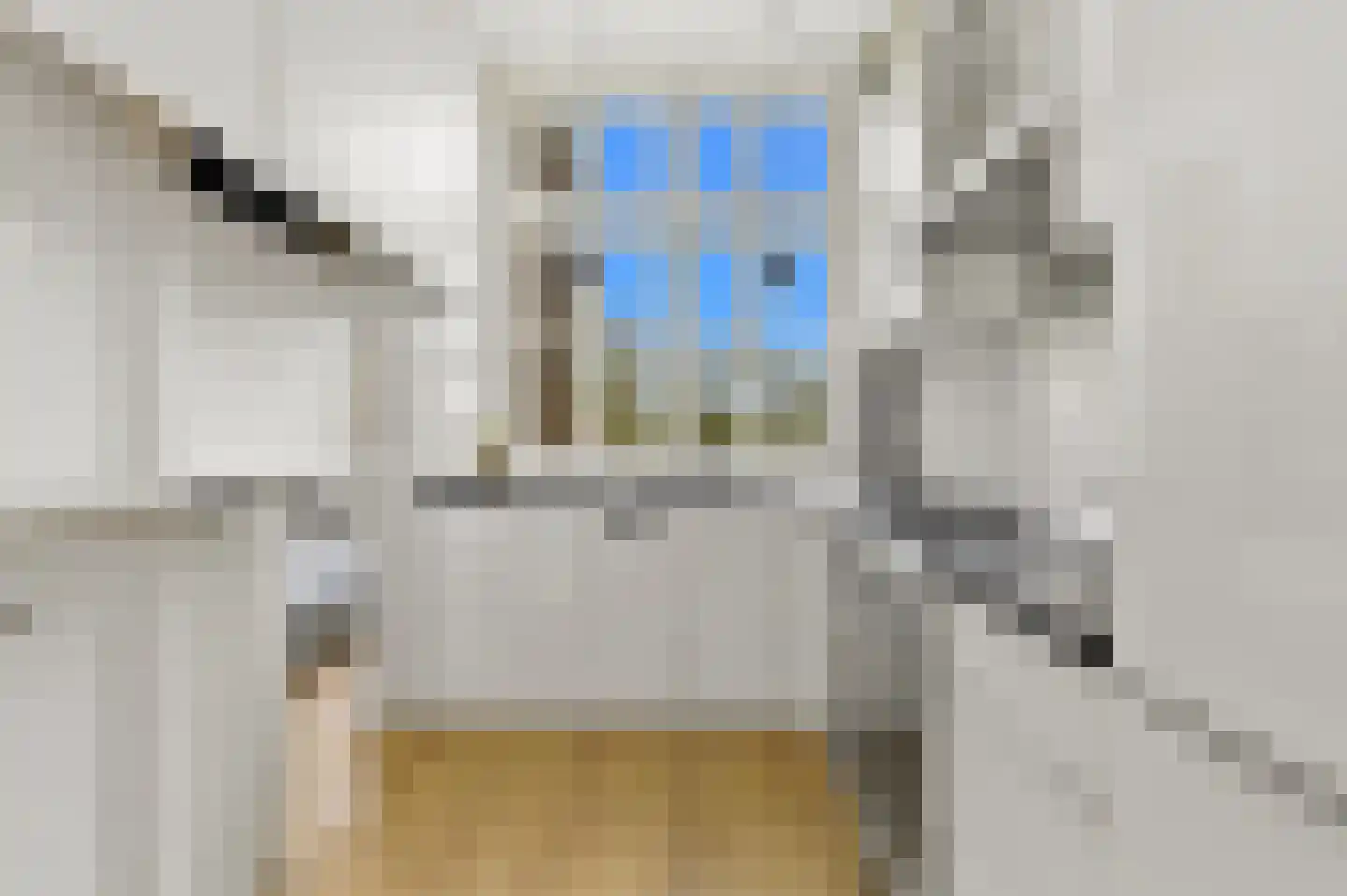 Johannes Camphuijsstraat 332 Den Haag thumbnail 17