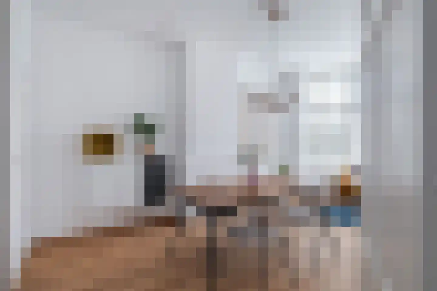 Johannes Camphuijsstraat 332 Den Haag thumbnail 7