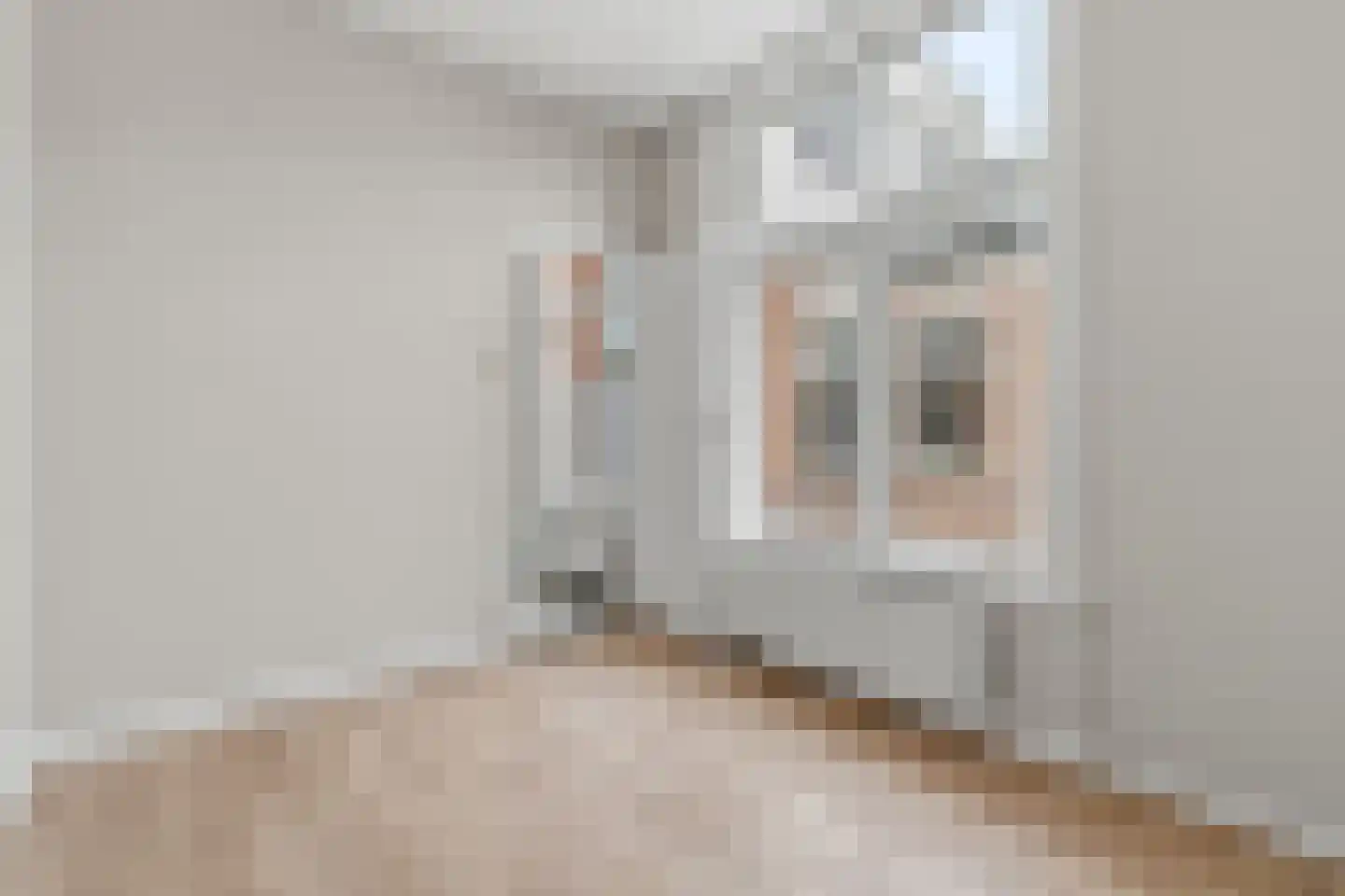 Johannes Camphuijsstraat 78 Den Haag thumbnail 23
