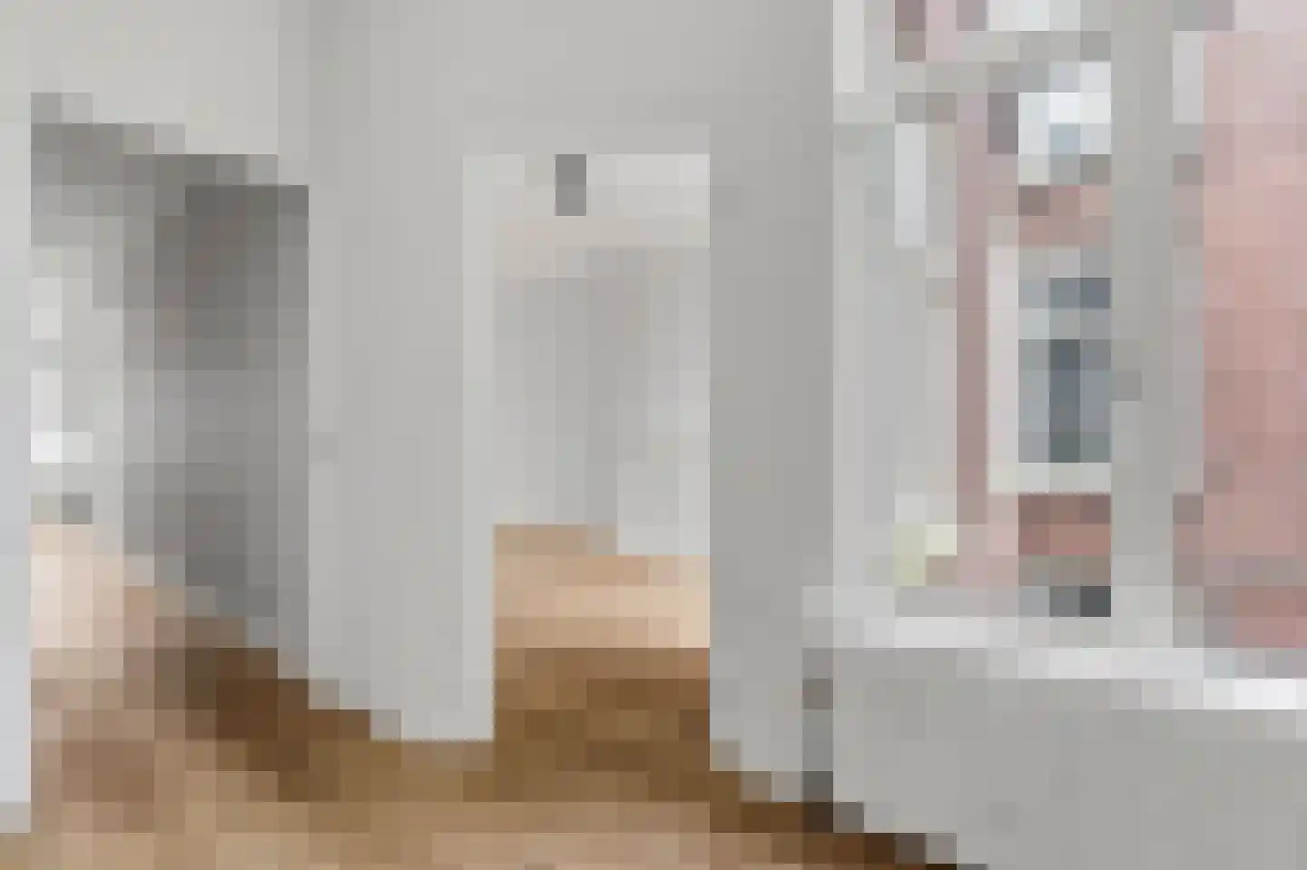 Johannes Camphuijsstraat 88 Den Haag thumbnail 27