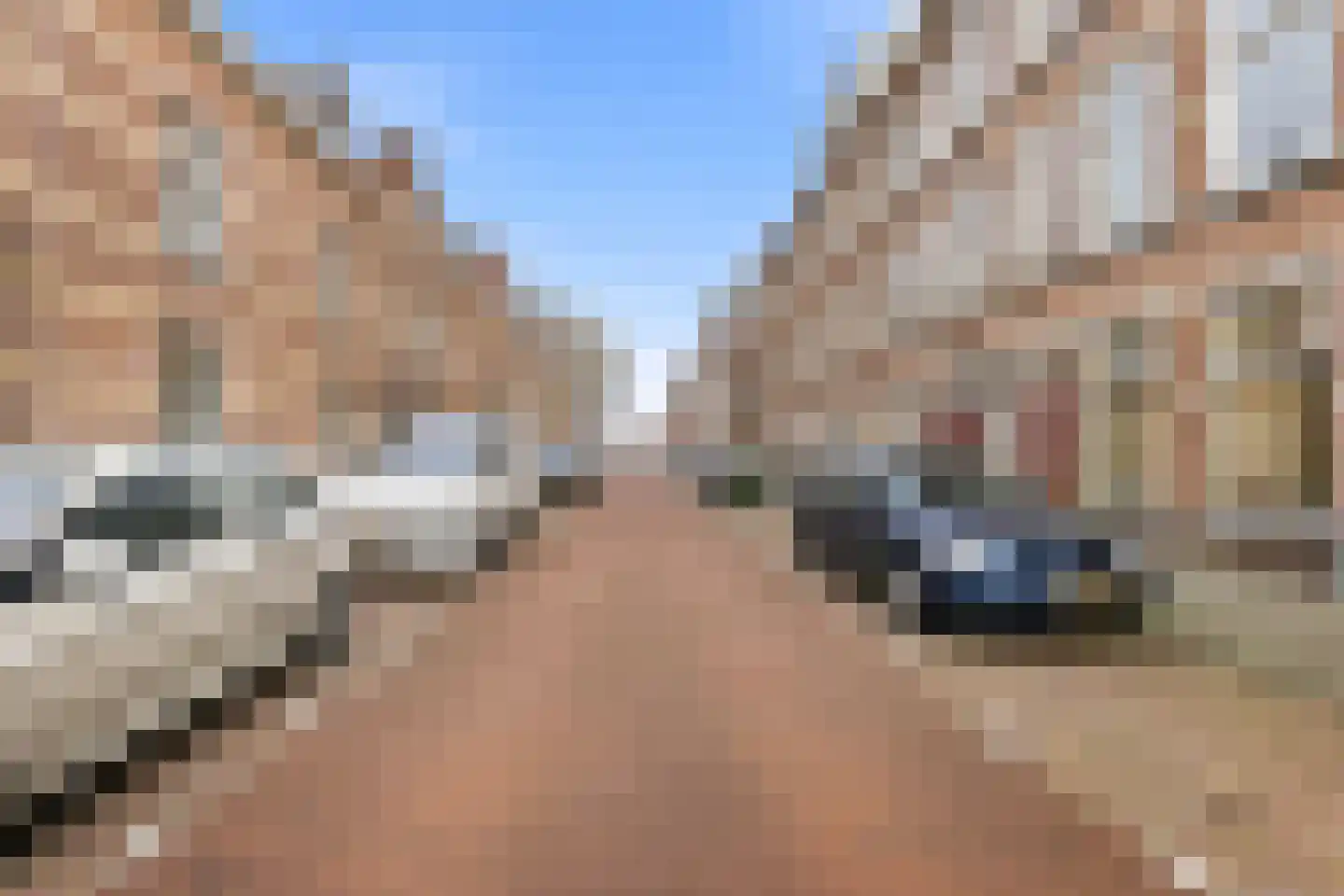 Johannes Camphuijsstraat 88 Den Haag thumbnail 29