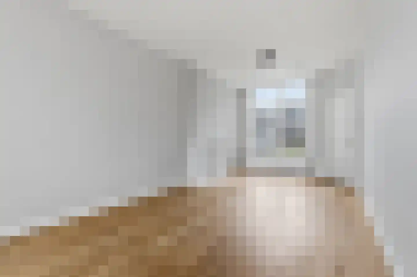 Johannes Camphuijsstraat 88 Den Haag thumbnail 6