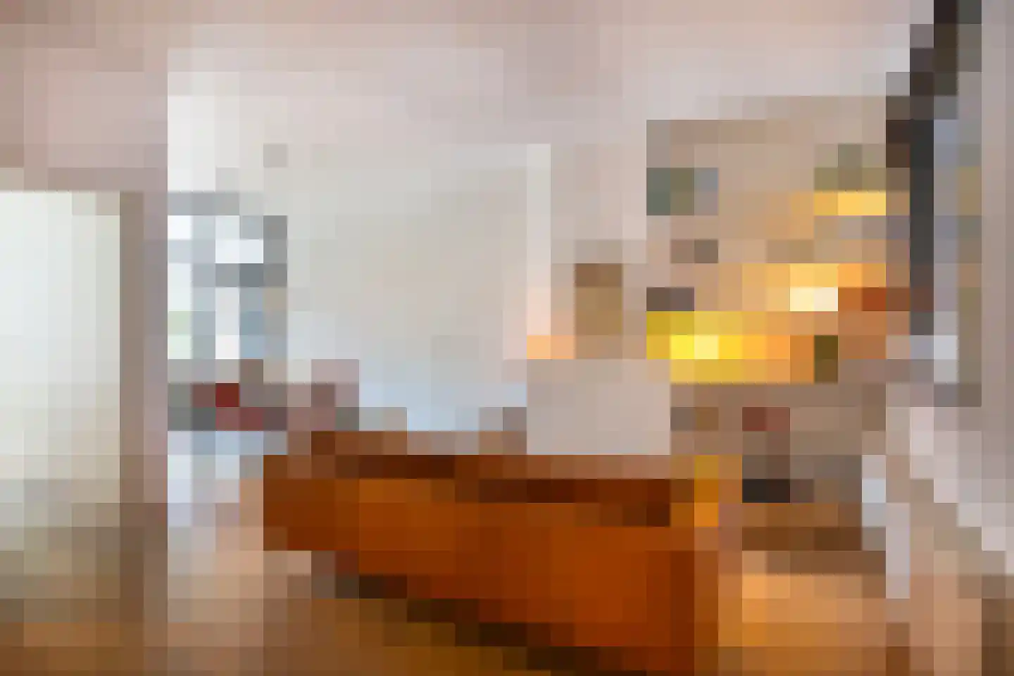 Johannes Camphuysstraat 15 Utrecht thumbnail 12