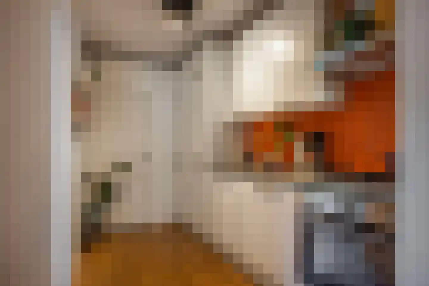 Johannes Camphuysstraat 15 Utrecht thumbnail 15