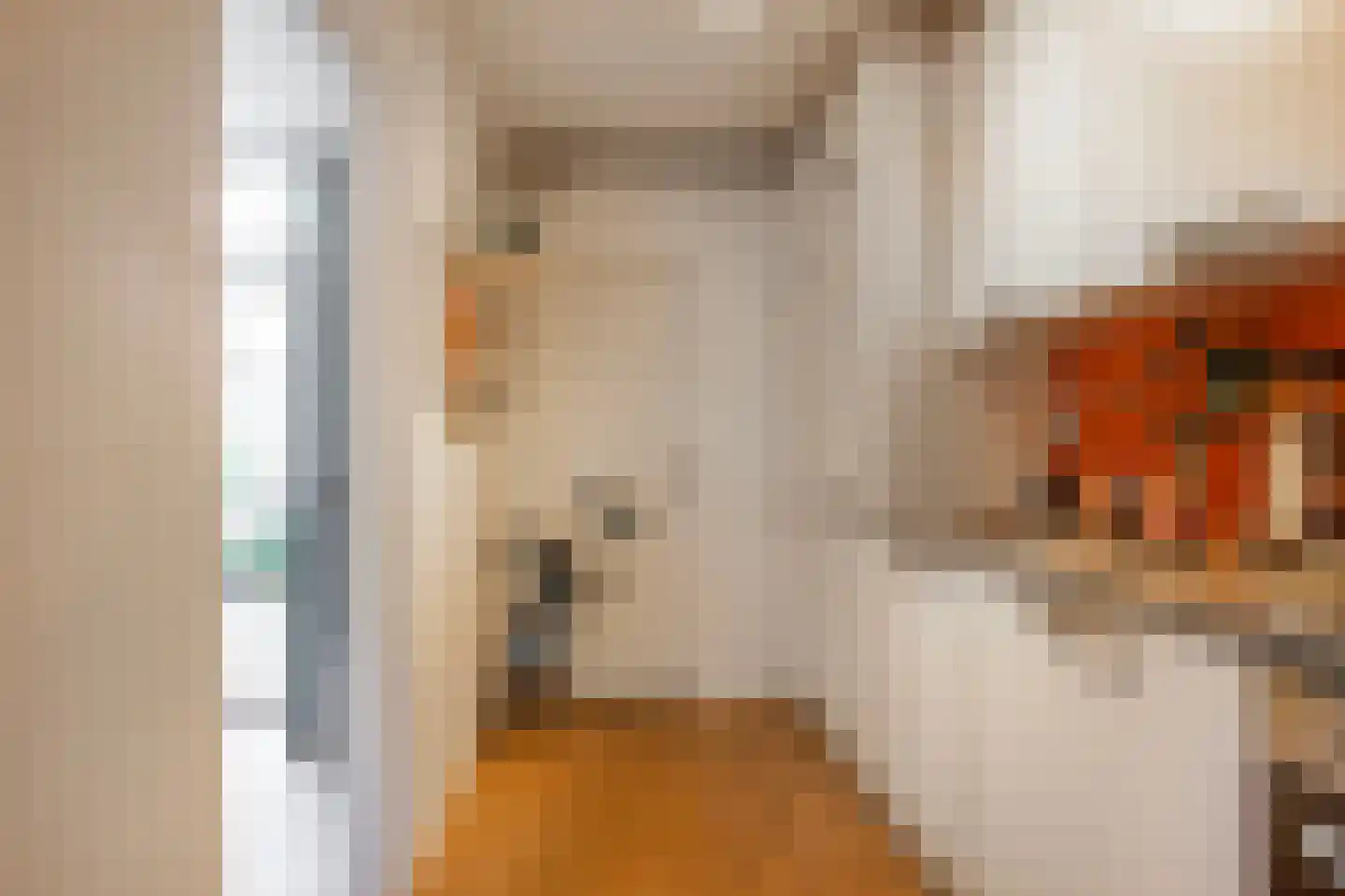 Johannes Camphuysstraat 15 Utrecht thumbnail 18