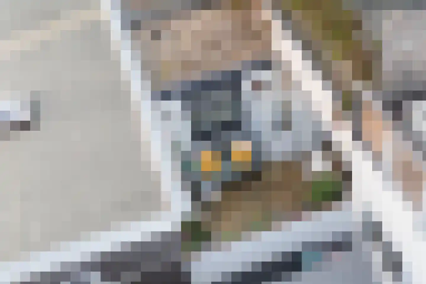 Johannes Camphuysstraat 15 Utrecht thumbnail 33