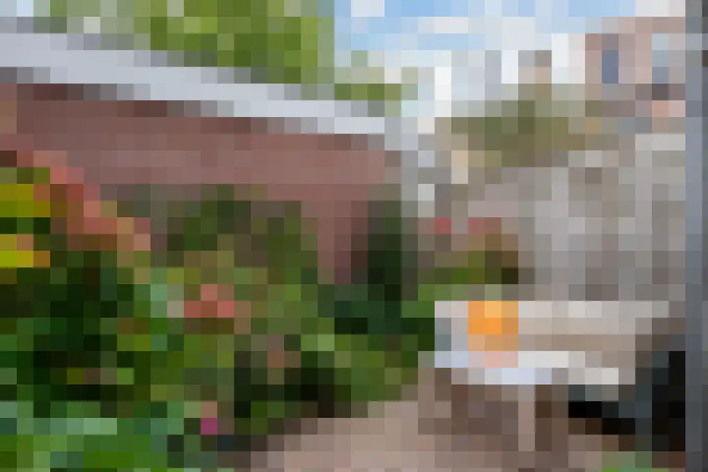 Johannes Camphuysstraat 23 Utrecht thumbnail 16