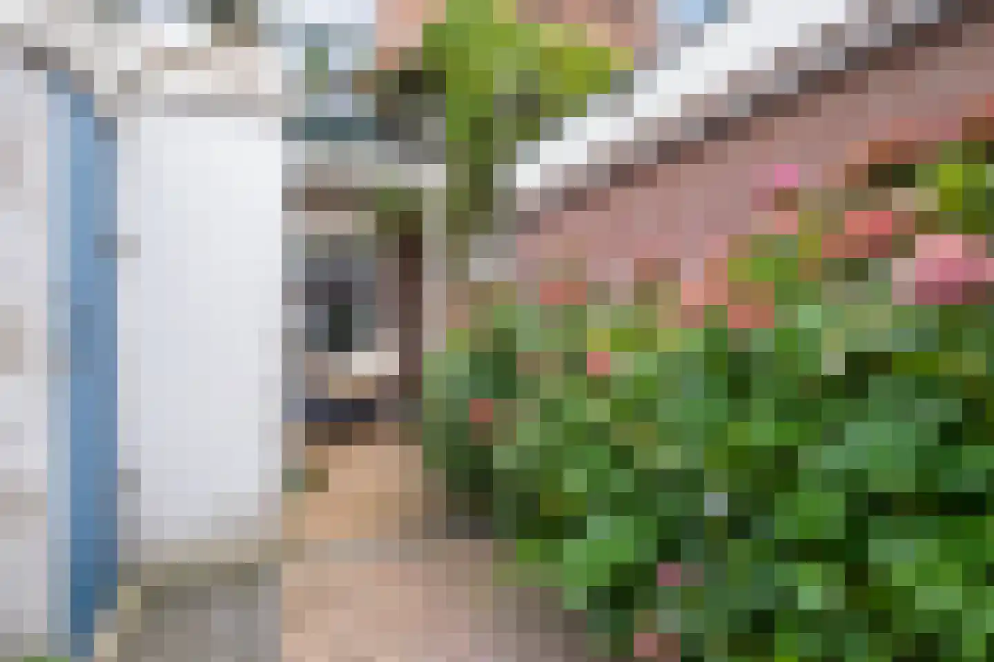 Johannes Camphuysstraat 23 Utrecht thumbnail 17
