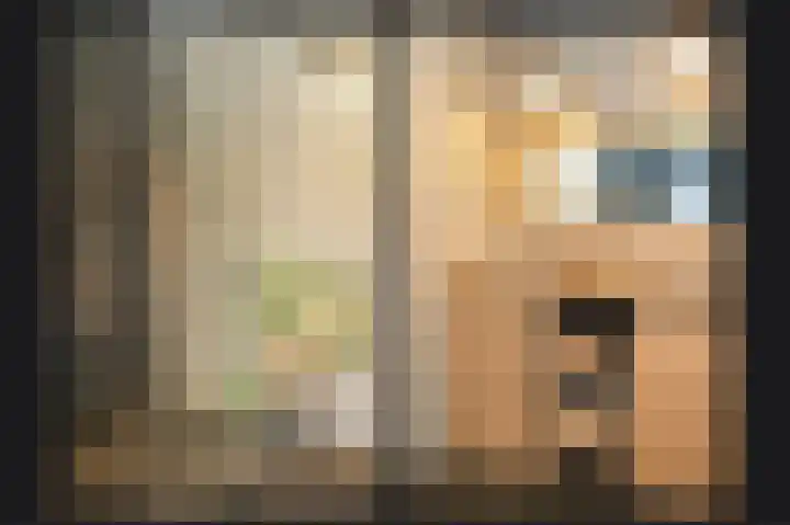 Johannes Camphuysstraat 29 Utrecht thumbnail 23