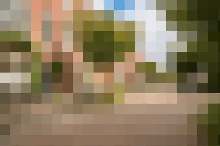 Johannes Camphuysstraat 29 Utrecht thumbnail 34
