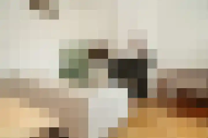 Johannes Camphuysstraat 29 Utrecht thumbnail 5