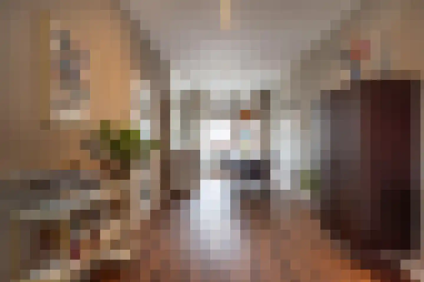 Johannes Camphuysstraat 4 BS Utrecht thumbnail 4
