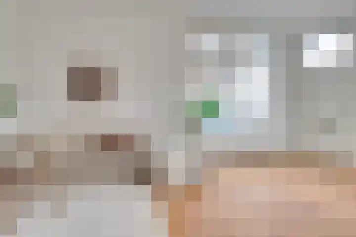 Johannes Camphuysstraat 47 Utrecht thumbnail 5