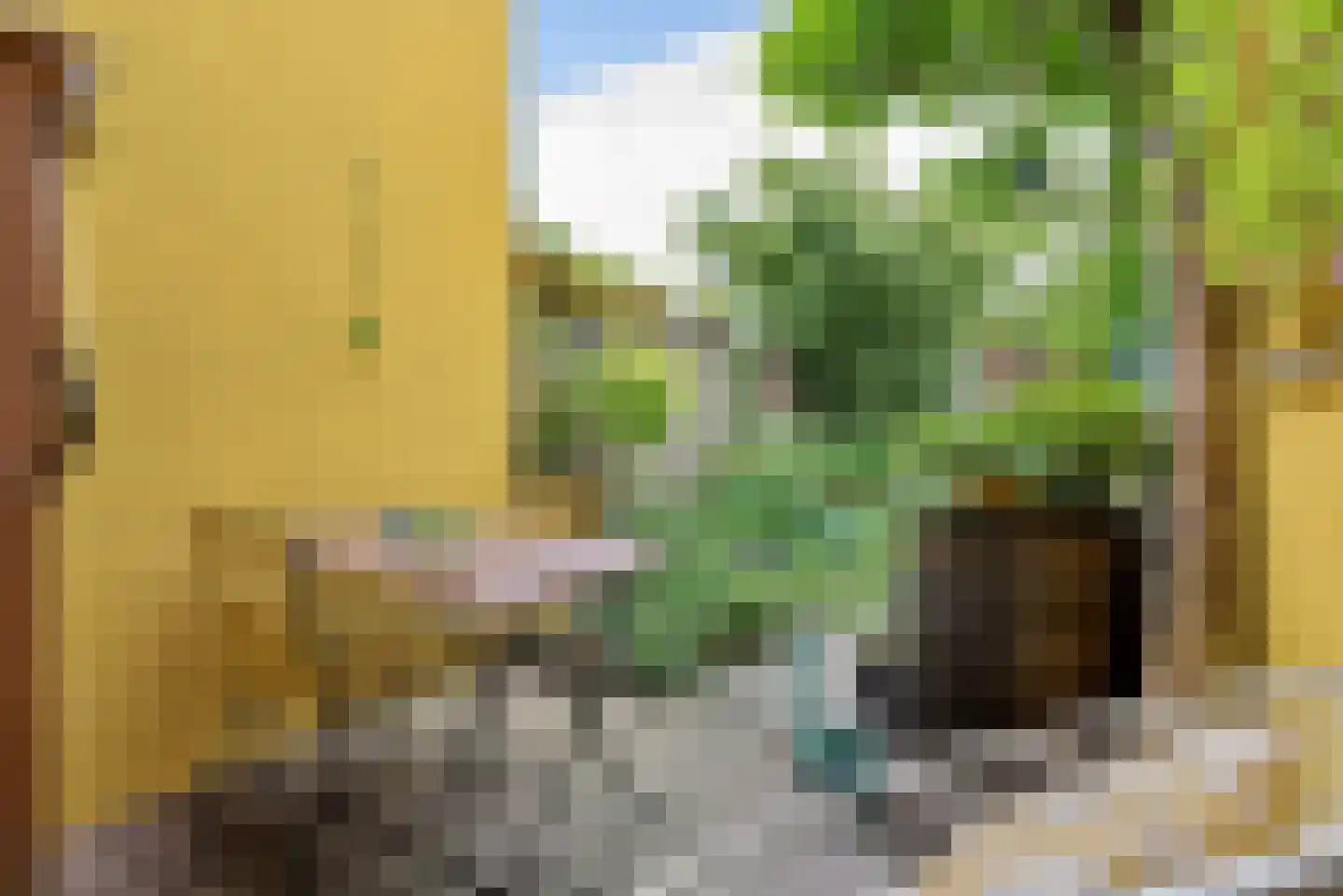 Johannes Camphuysstraat 49 Utrecht thumbnail 14