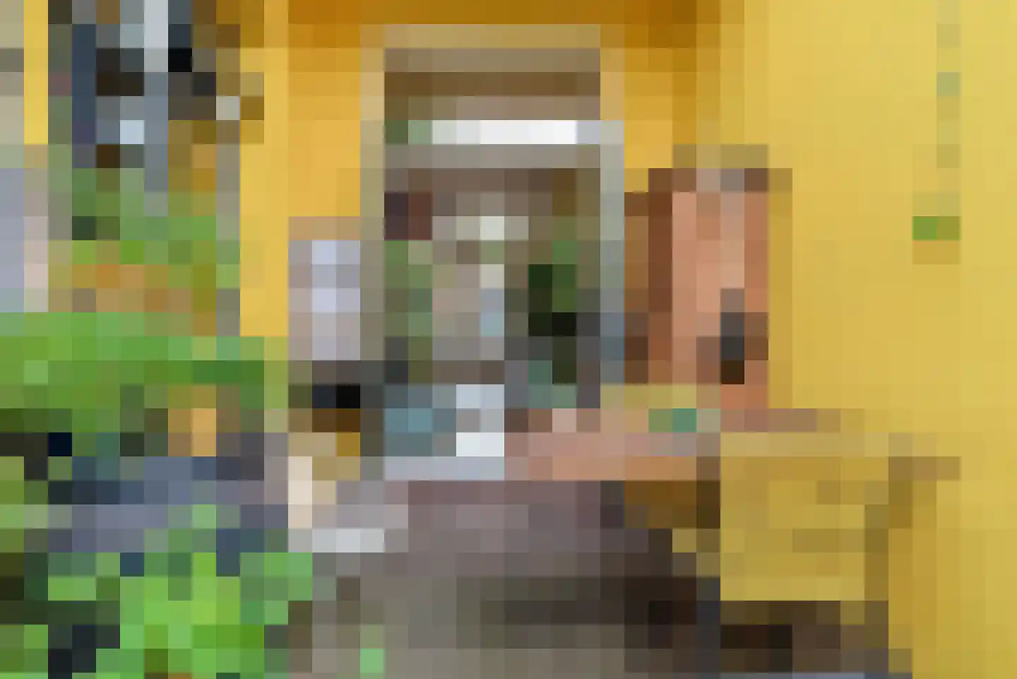 Johannes Camphuysstraat 49 Utrecht thumbnail 17