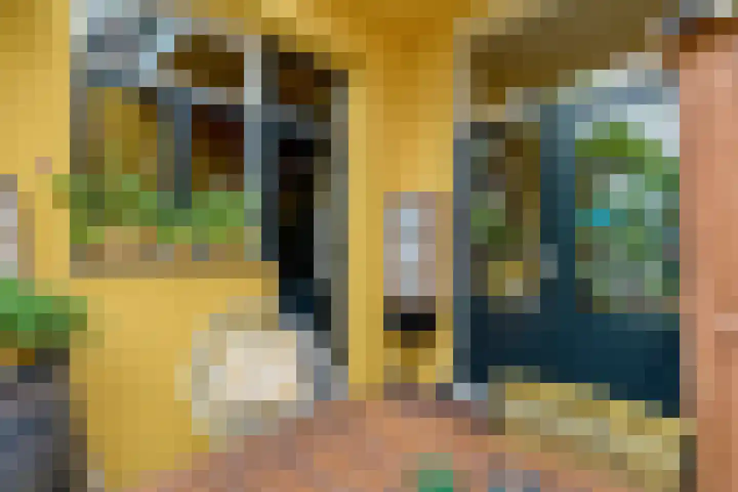 Johannes Camphuysstraat 49 Utrecht thumbnail 18