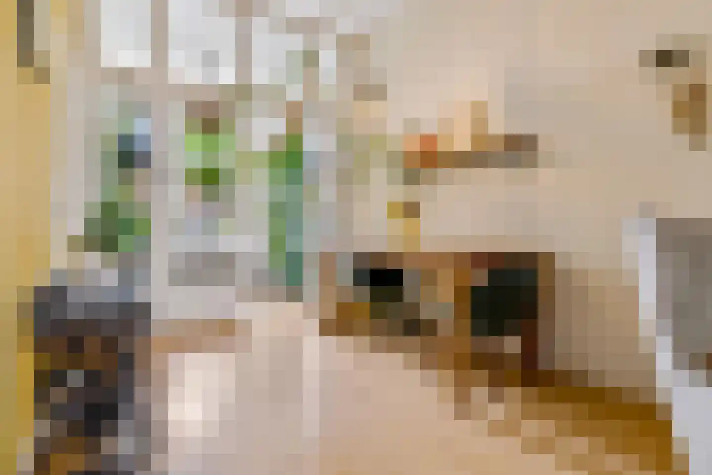 Johannes Camphuysstraat 49 Utrecht thumbnail 20