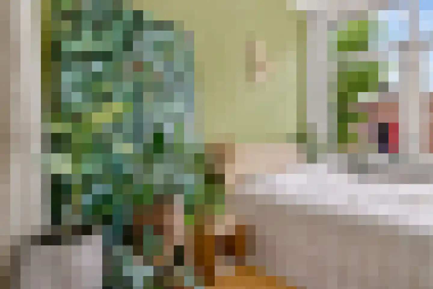 Johannes Camphuysstraat 49 Utrecht thumbnail 23