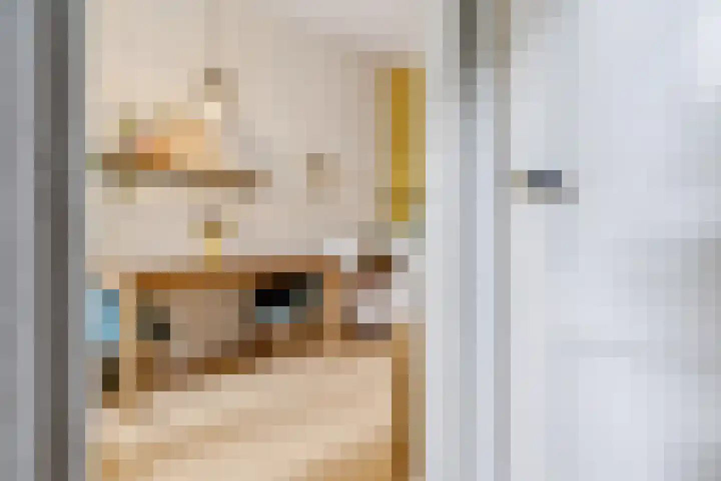 Johannes Camphuysstraat 49 Utrecht thumbnail 6