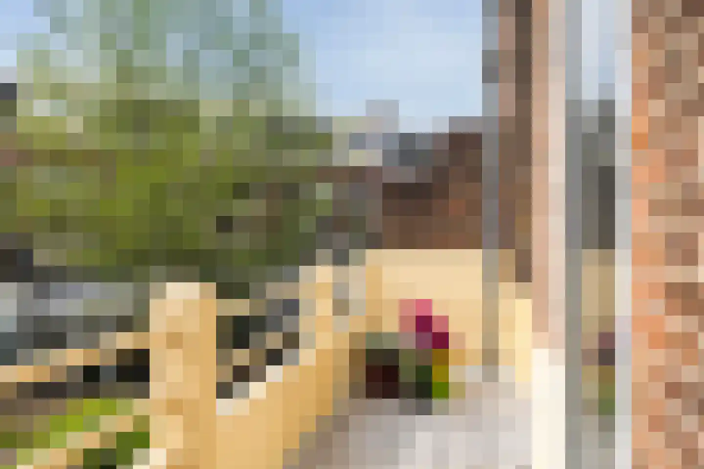 Johannes Camphuysstraat 56 BS Utrecht thumbnail 19