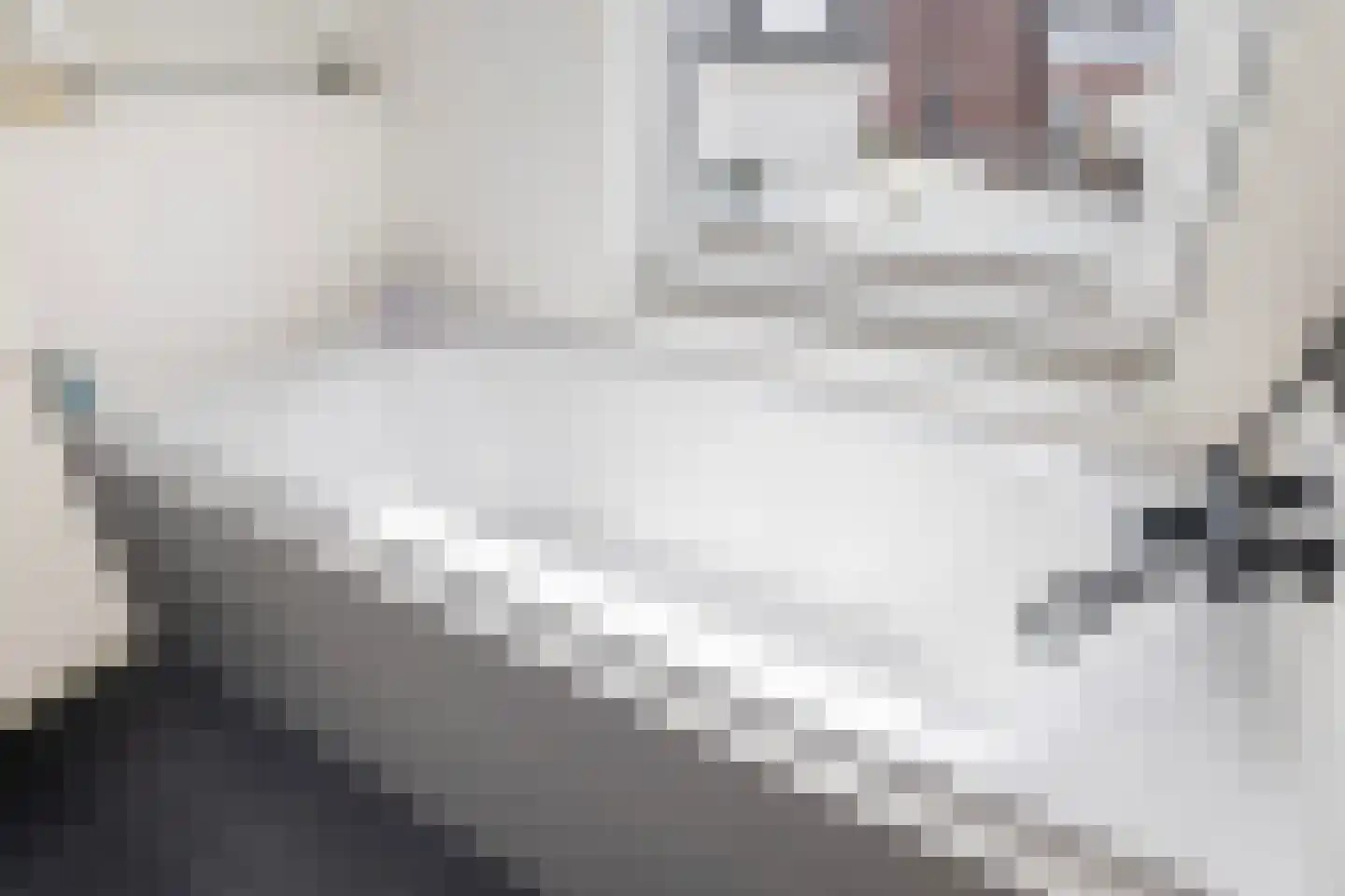 Johannes Camphuysstraat 56 BS Utrecht thumbnail 23