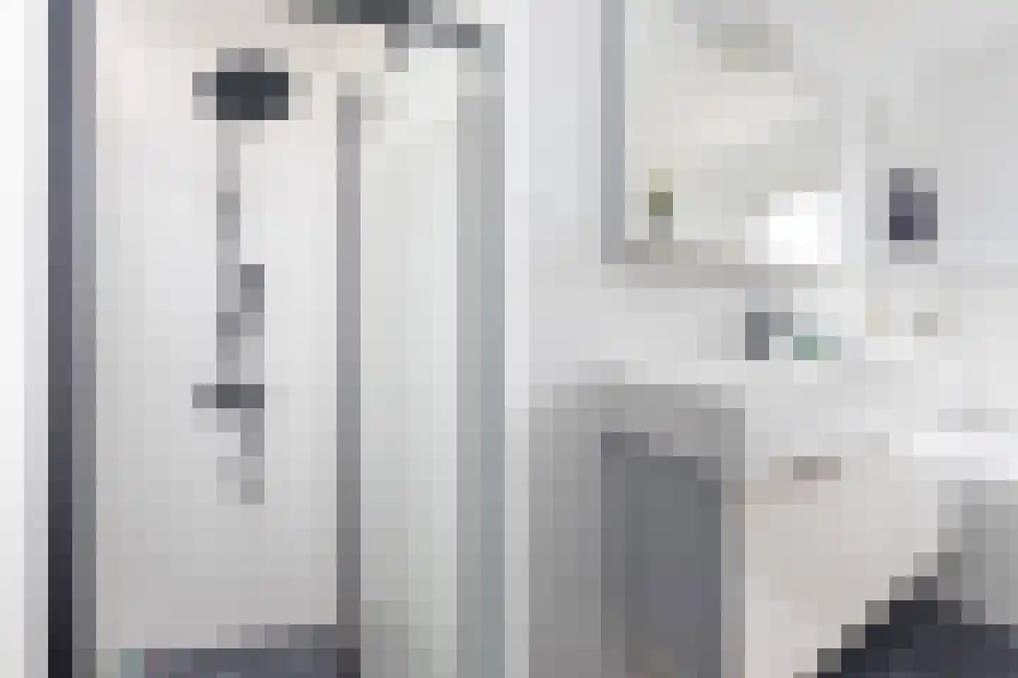 Johannes Camphuysstraat 56 BS Utrecht thumbnail 5