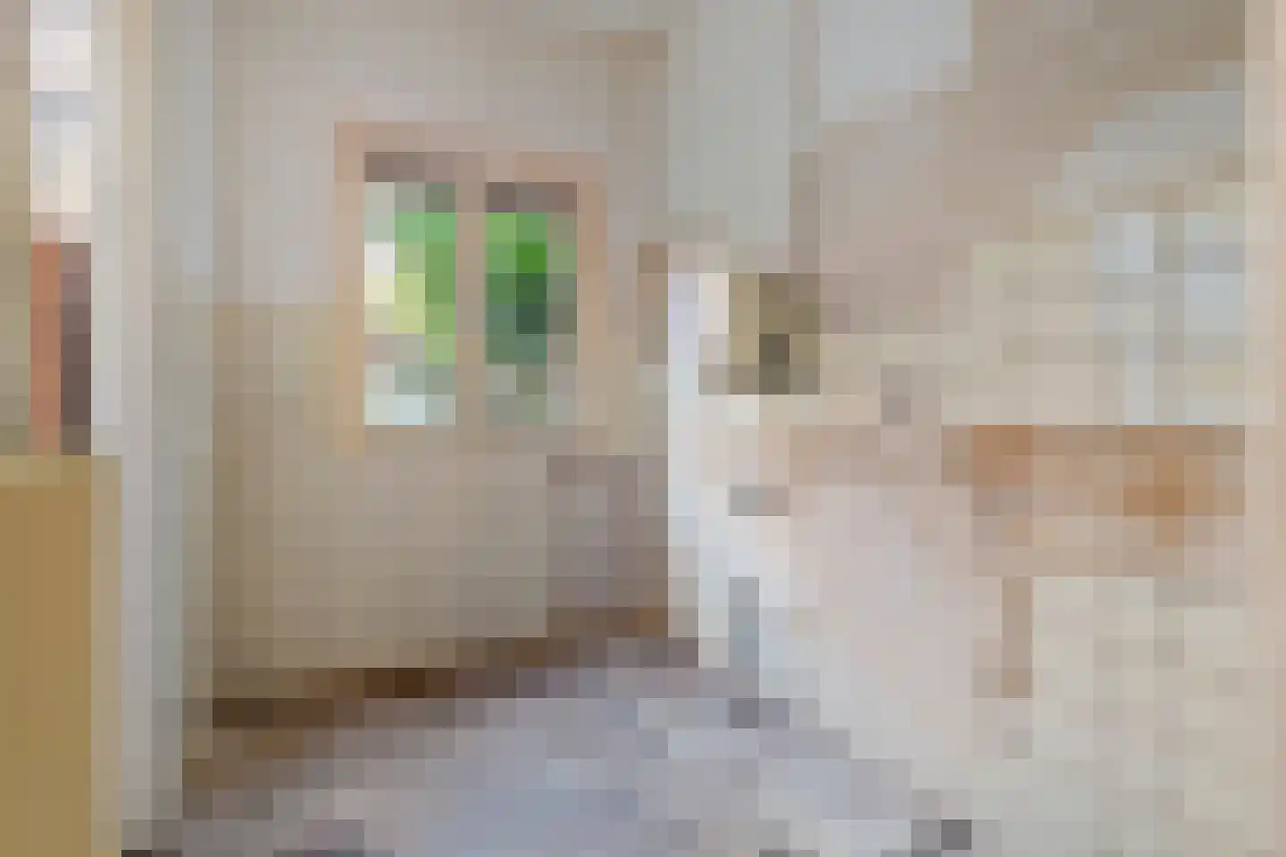 Johannes Camphuysstraat 61 Utrecht thumbnail 14