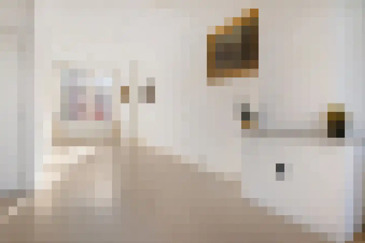 Johannes Camphuysstraat 61 Utrecht thumbnail 19