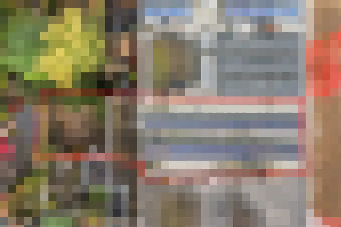 Johannes Camphuysstraat 61 Utrecht thumbnail 37