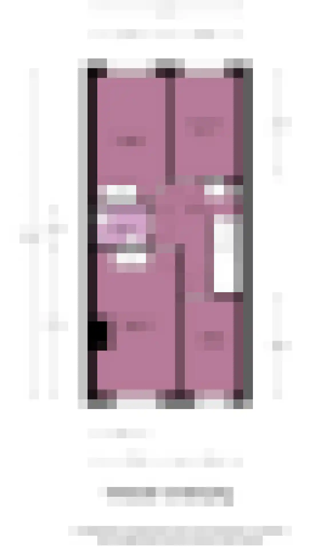 Johannes Camphuysstraat 61 Utrecht thumbnail 43